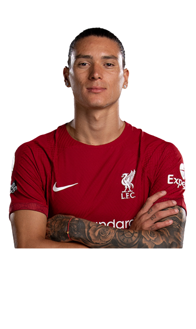 დარვინ ნუნიესი